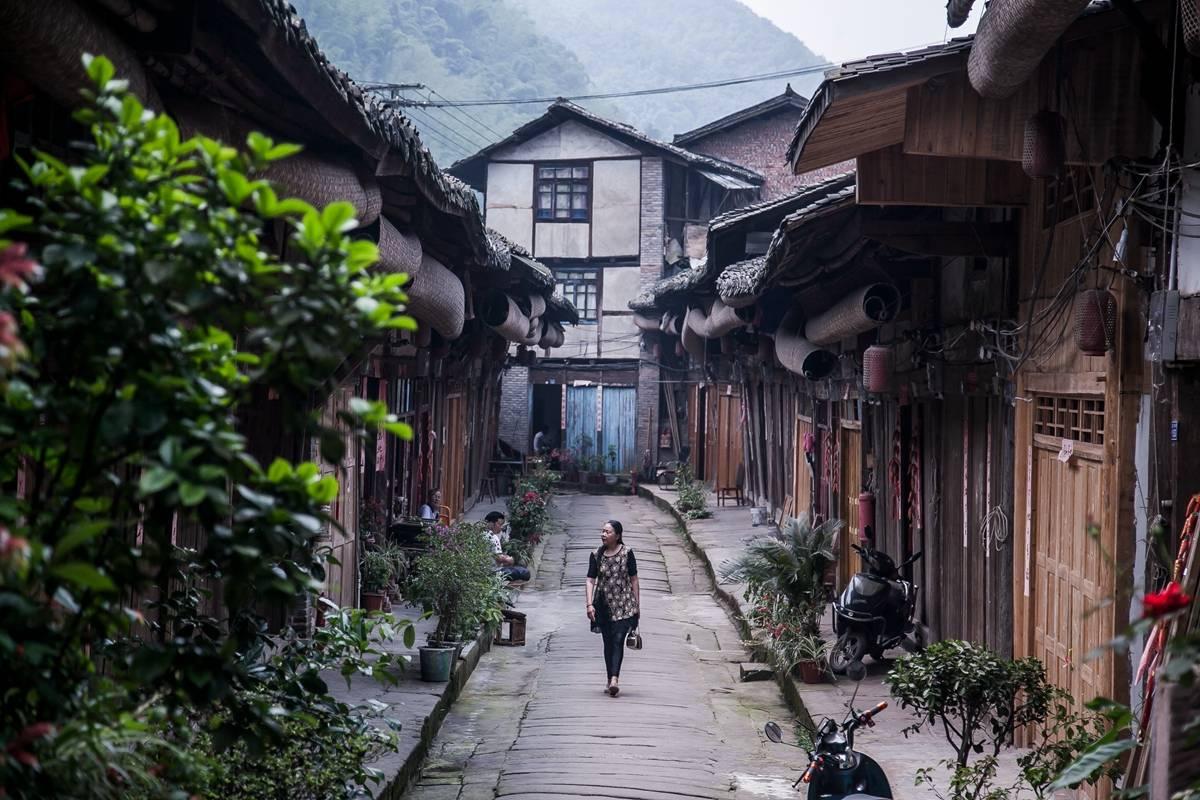 模拟农场17